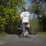 IMG_1588_1-1536x1025