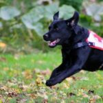 image 2025 12 11t092853.937