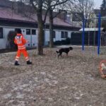 image 2026 04 14t102626.913